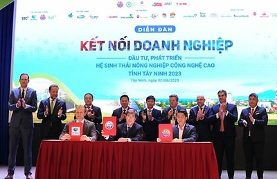 Tây Ninh phát triển hệ sinh thái nông nghiệp công nghệ cao