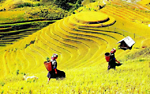 Địa Điểm Du Lịch Nổi Tiếng Yên Bái