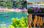 Kinh nghiệm du lịch-Nha Trang