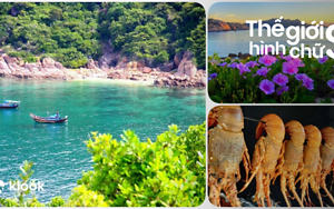 Kinh nghiệm du lịch-Nha Trang