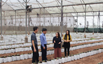 Thái Bình: Phát triển khoa học công nghệ, tiến tới xây dựng nền kinh tế bền vững