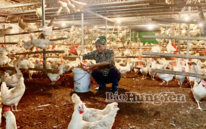 Xã Lương Bằng phát triển kinh tế trang trại, gia trại