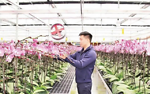 Đẩy mạnh ứng dụng công nghệ số trong sản xuất nông nghiệp