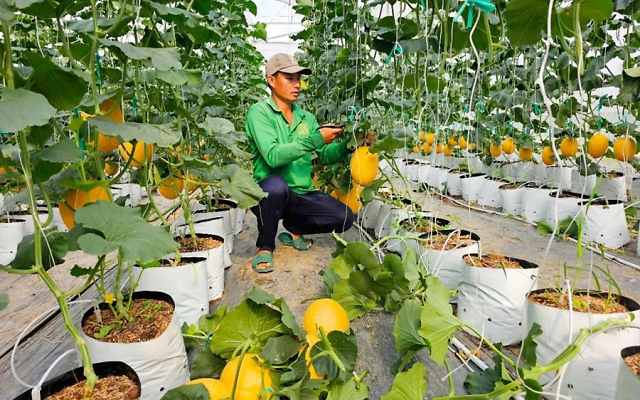 Khoa học, công nghệ và đổi mới sáng tạo trở thành động lực tăng trưởng kinh tế