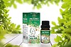 Tinh dầu mùi già cao cấp 5ml nhỏ giọt xông đèn/máy xông tinh dầu, tắm ngày tết