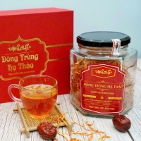 Đông Trùng Hạ Thảo Sấy Thăng Hoa 25g Loại 1