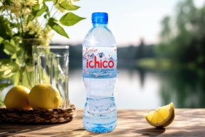 Lốc tinh khiết 500ml/12 chai ( Bán từ 5 lốc )