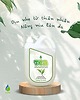 Nước rửa bát trà xanh dịu nhẹ TEA can 2kg