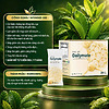 Daily Mate Tea – Thức Uống Hạnh Phúc 