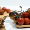 Cà chua Socola hữu cơ – Organic Chocolate Tomato  (500gr/hộp)