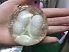 Xà Bông Amino ( Pha Lê )  Kén Tơ Tằm 95 gam