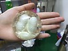 Xà Bông Amino ( Pha Lê )  Kén Tơ Tằm 95 gam
