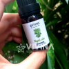 Tinh dầu ngải cứu BEFINE 5ml