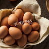 Combo 1 thùng Trứng Gà Ta Nguyễn Gia (Hưng Yên)