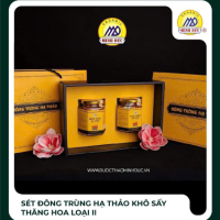 SET Đông Trùng Hạ Thảo Khô Sấy Thăng Hoa Loại II (Hộp 2 lọ x 20gr)
