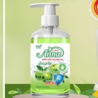 Nước rửa tay Anna 500ml