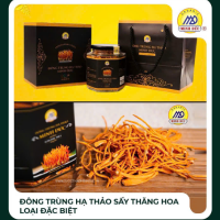 Đông trùng hạ thảo sấy thăng hoa loại đặc biệt