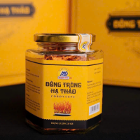 Đông trùng hạ thảo khô sấy thăng hoa loại II