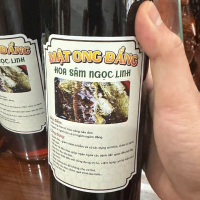 MẬT ONG ĐẮNG HOA SÂM NGỌC LINH 