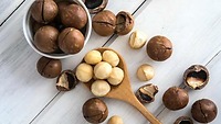 HẠT MẮC CA BONBUBO – NÔNG SẢN ĐẮK LẮK, BÉO BÙI, THƠM NGON