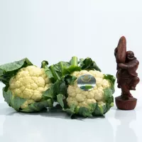 Bông cải trắng hữu cơ – Organic Cauliflower