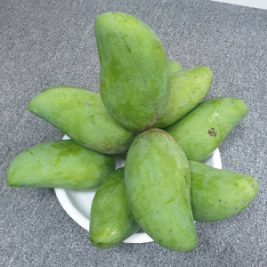 Xoài hạt lép Yên Châu 