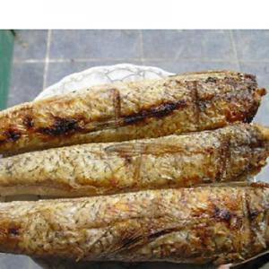 Cá Mối nướng than hoa 