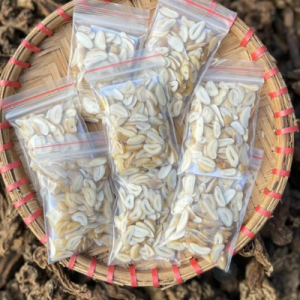 Hạt sang(hạt Sành) hộ trợ chữa bệnh dạ dày ( 1 liệu trình/gói)