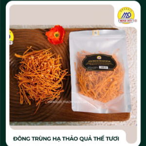 Đông trùng hạ thảo quả thể tươi Minh Đức
