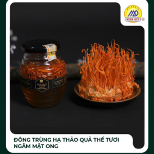 Đông trùng hạ thảo quả thể tươi ngâm mật ong
