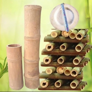 TINH HOA TRE VIỆT NAM