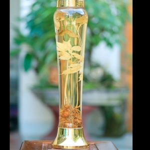 Rượu Sâm Ngọc Linh bình cây và củ (3 lít)