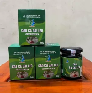 Cao cà gai leo 