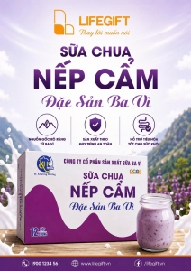 SỮA CHUA BA VÌ NẾP CẨM – HỘP 12 HŨ