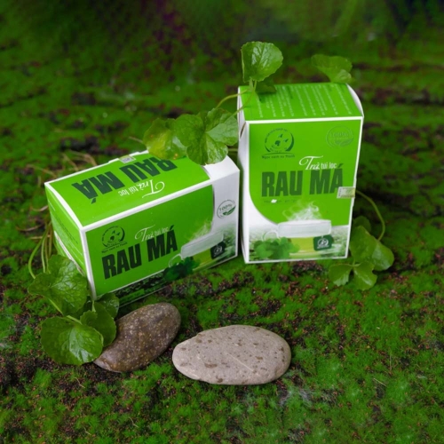 TRÀ TÚI LỌC RAU MÁ NGỌC XANH XỨ THANH