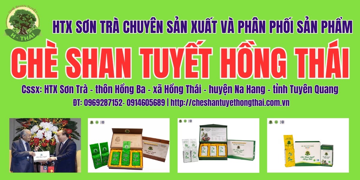 HTX Sơn Trà