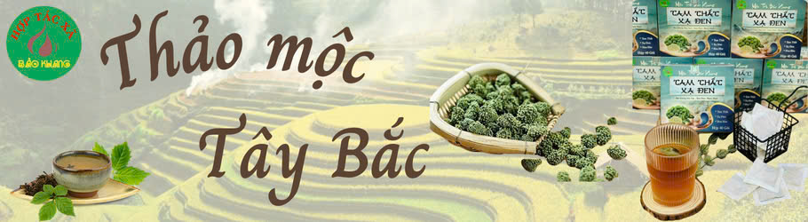 THẢO MỘC TÂY BẮC