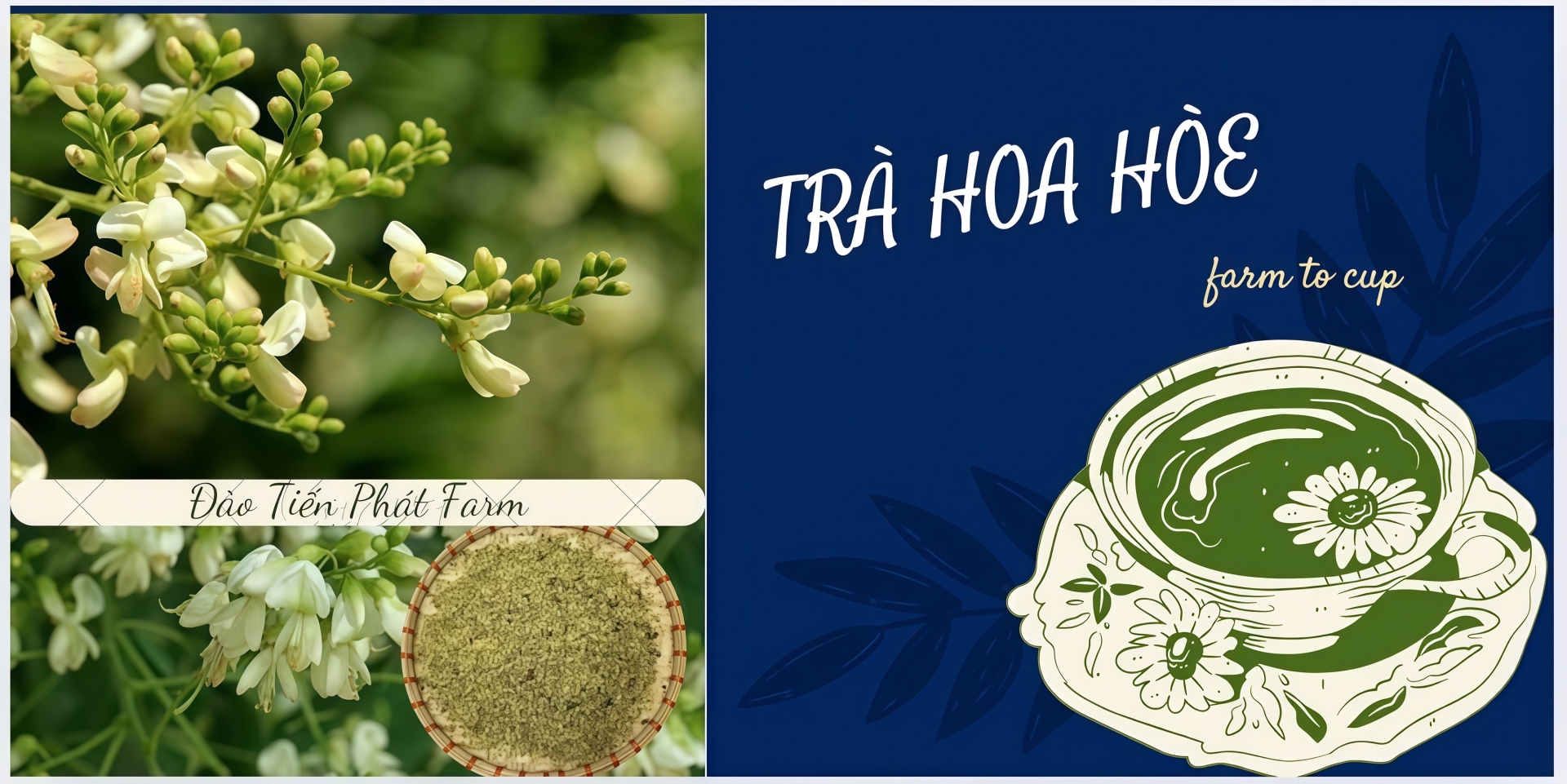 ĐÀO TIẾN PHÁT FARM 