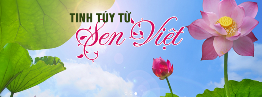 Sen Đông Hòa Phú Yên