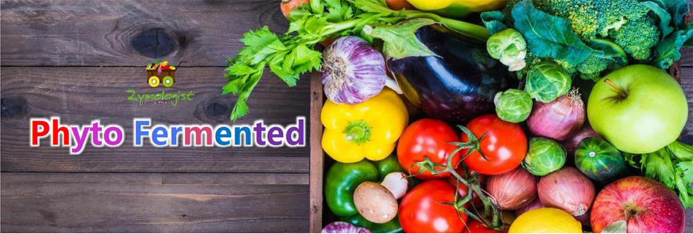 Nguyễn Mai - Fanu Meal