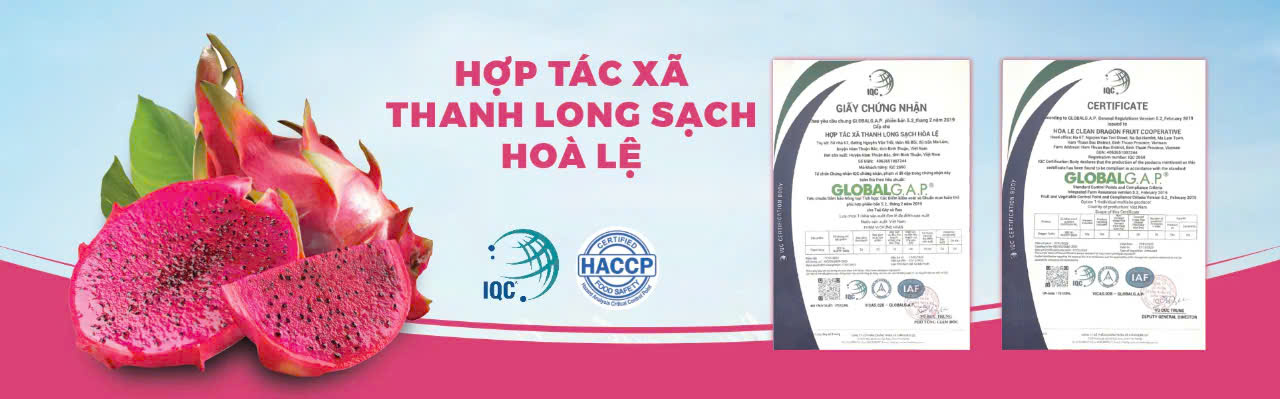 HTX Thanh Long Sạch Hòa Lệ