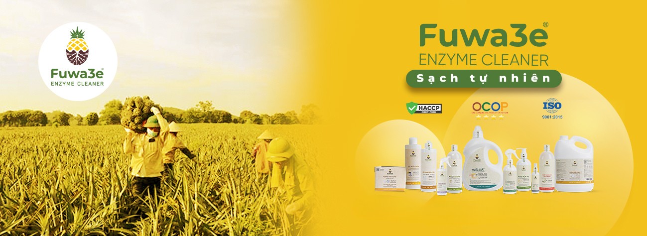 Tẩy rửa sinh học Fuwa3e