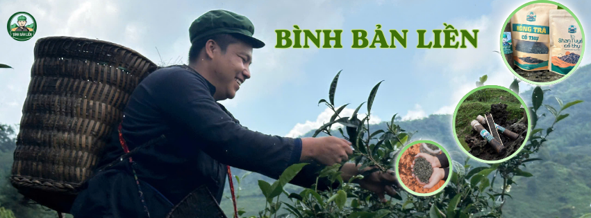 Bình Bản Liền