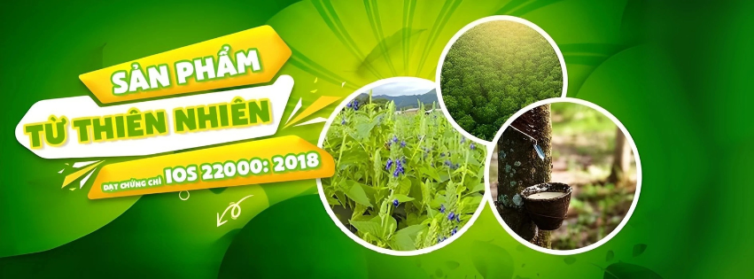 Hợp Tác Xã Nhà Xanh Toàn Cầu