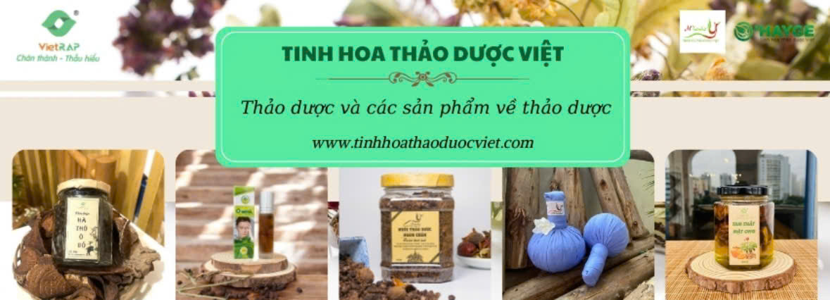 Công ty Cổ phần VietRAP Đầu tư Thương mại 