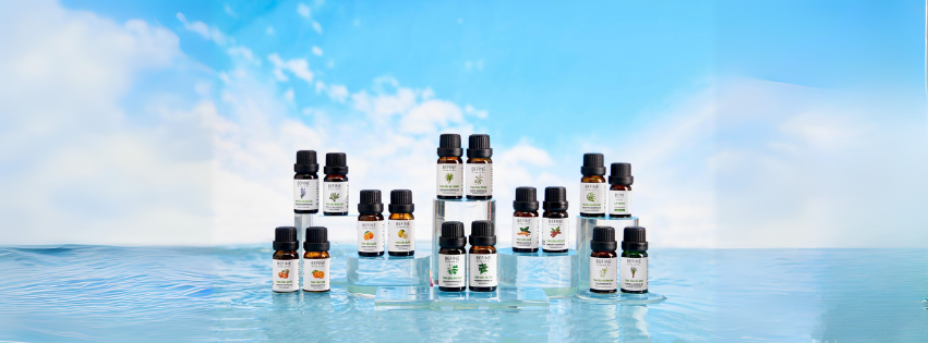 Công Ty Cổ Phần BEFINE