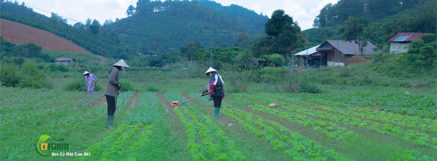 Nông sản Hữu cơ CT Farm