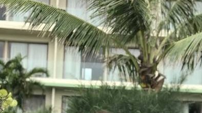 Cái gì cũng có123