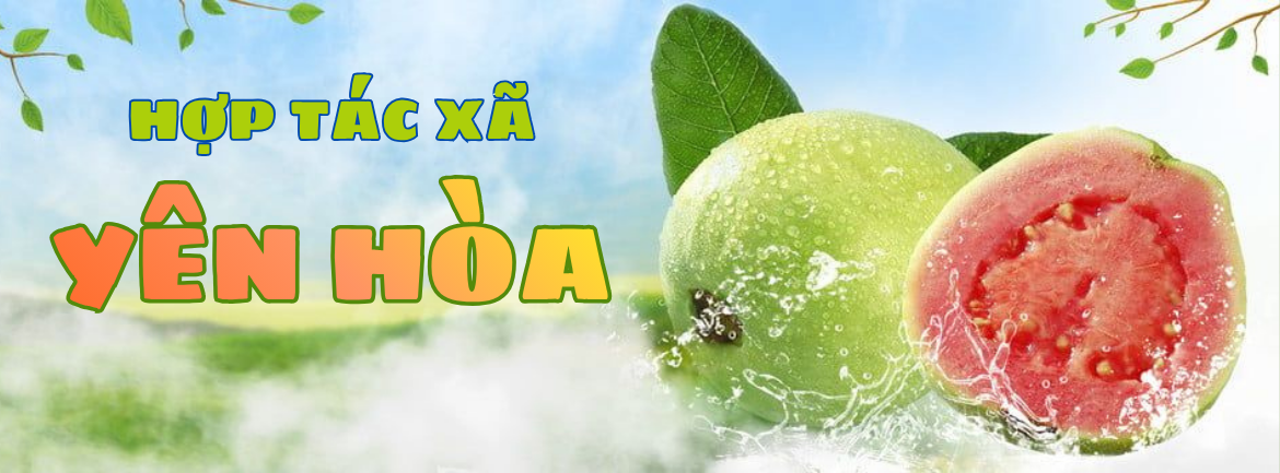 HỢP TÁC XÃ YÊN HOÀ