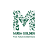 Musa Golden